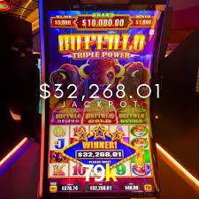 A Popularidade dos Caça-Níqueis no 79k